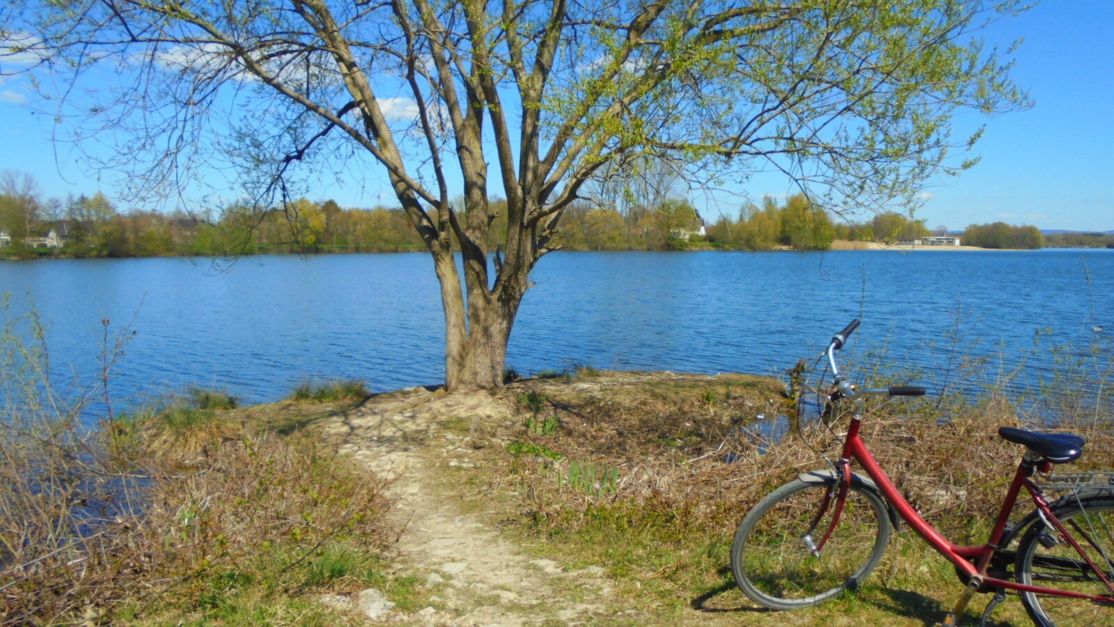 DSC01474.JPG