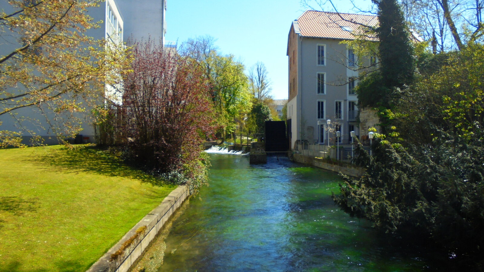 DSC01480.JPG