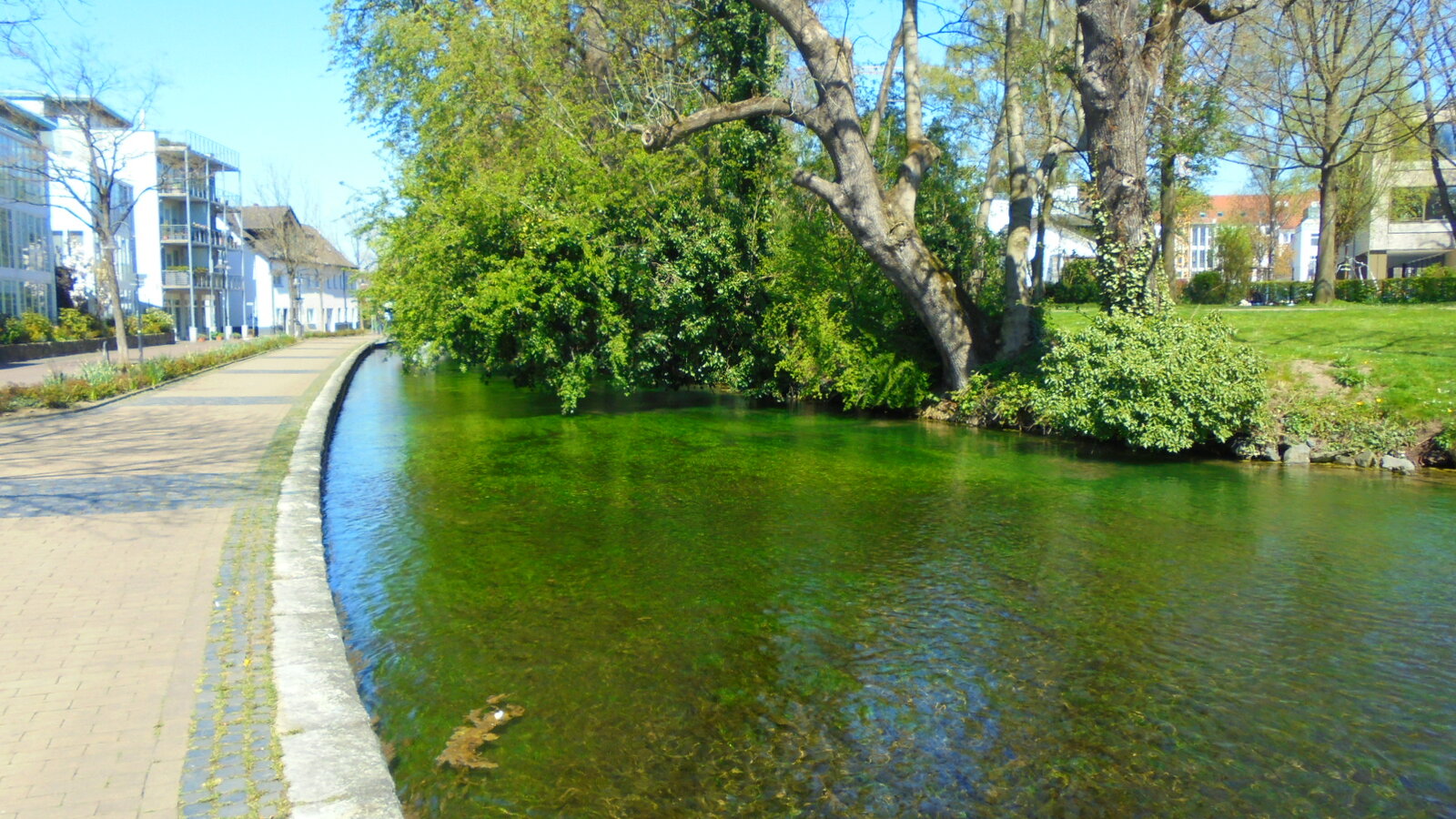 DSC01484.JPG