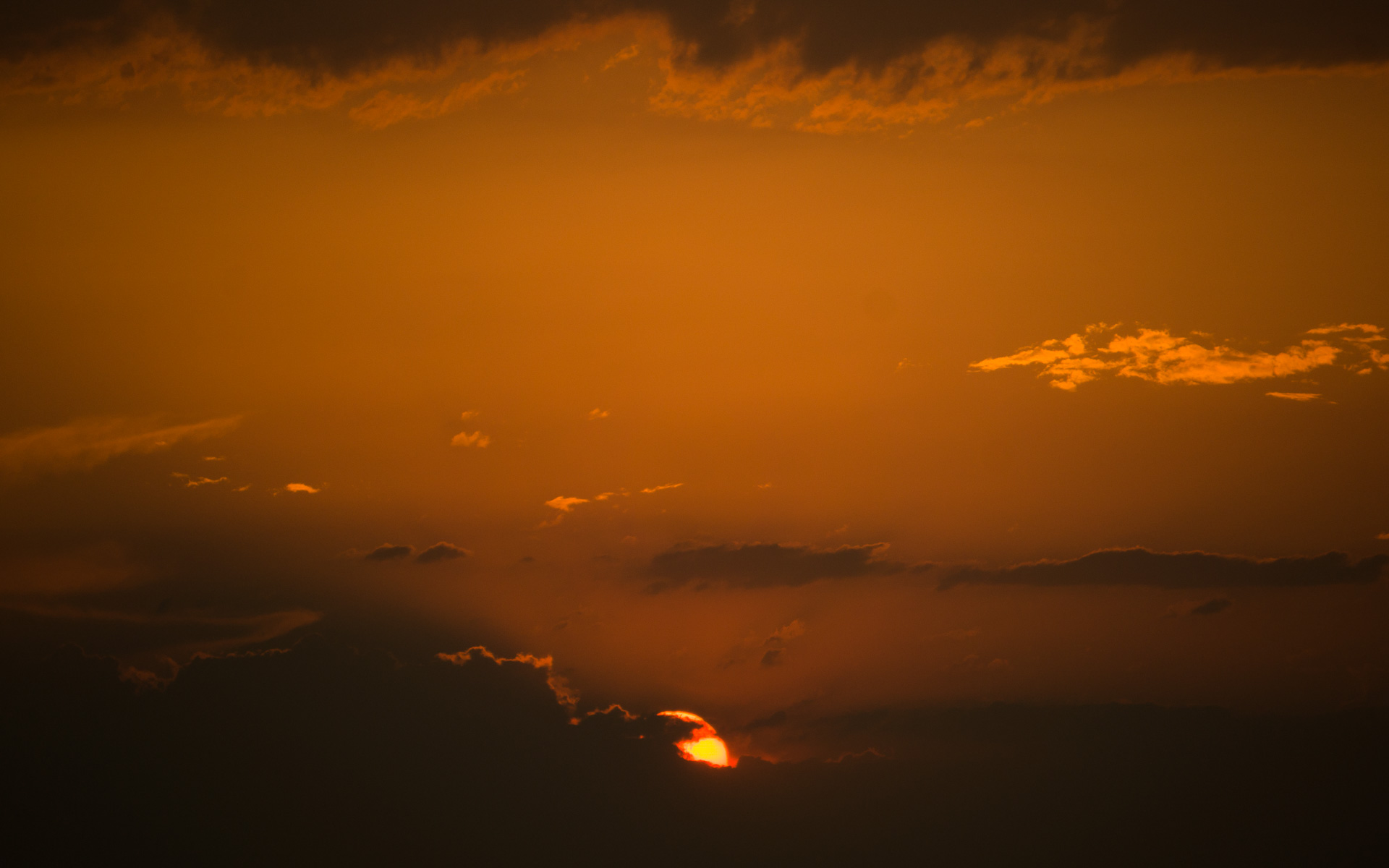 DSC01516.jpg