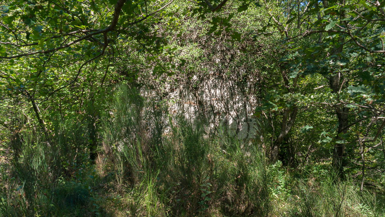 DSC01642.jpg