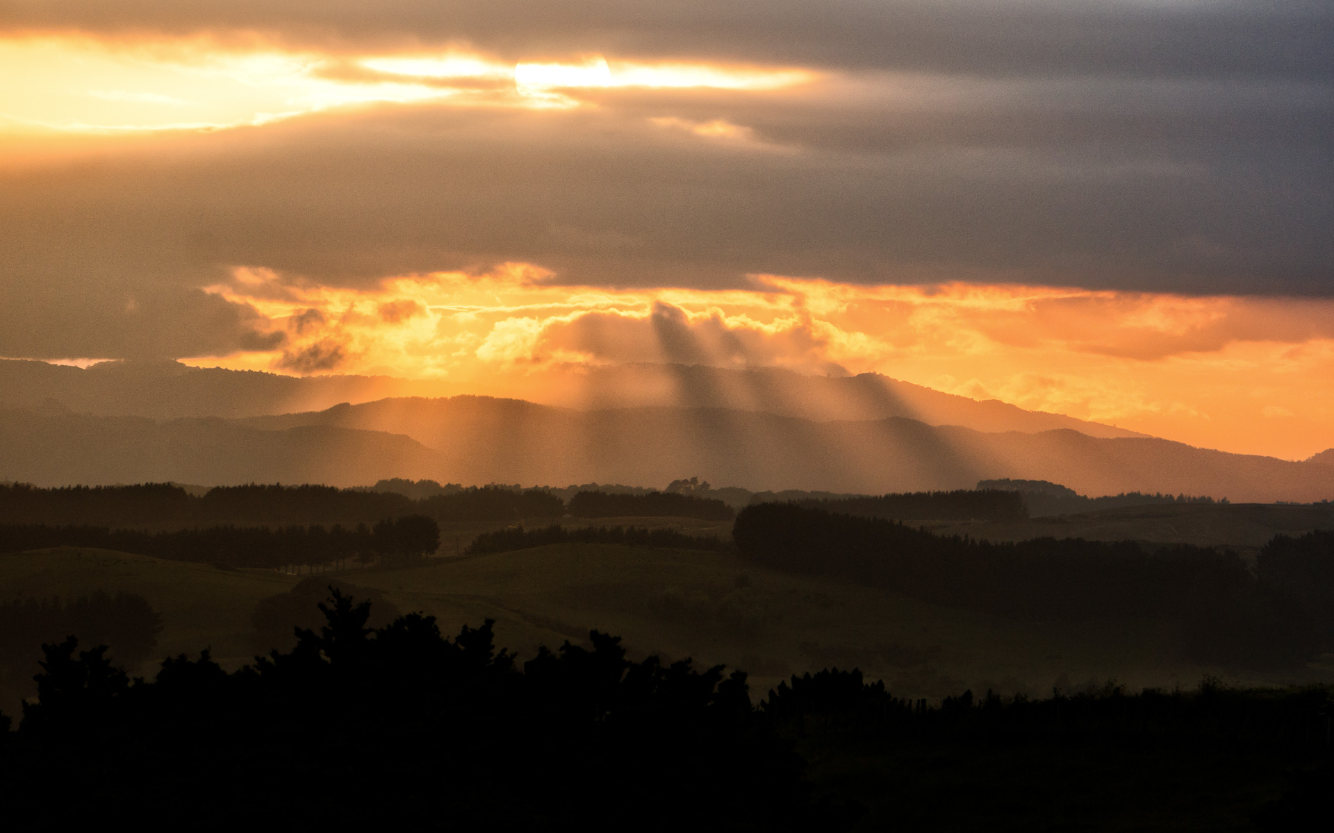 DSC01740-Edit.jpg