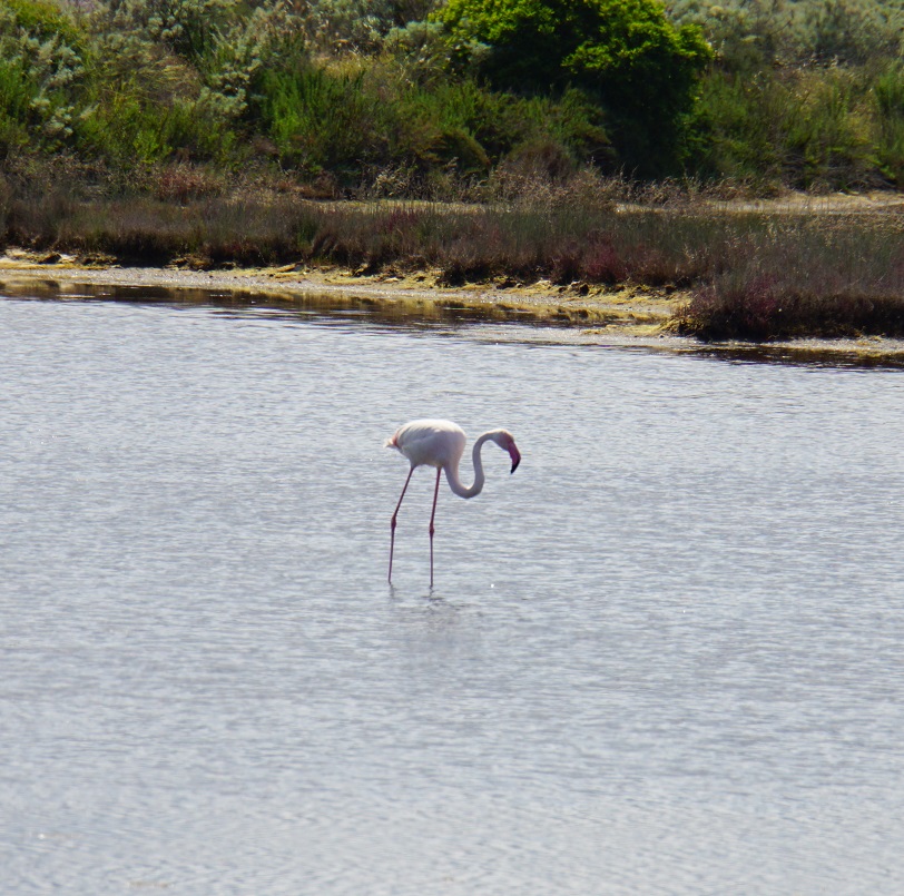 DSC04107.JPG