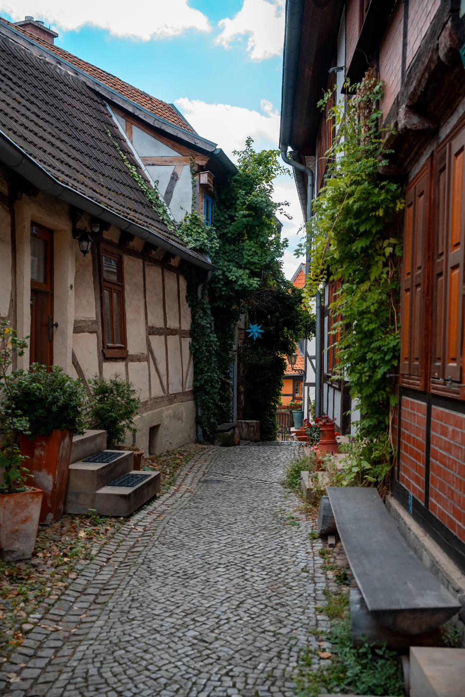 DSC09199.webp