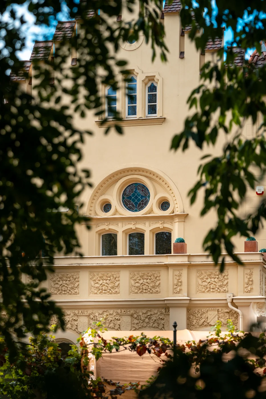 DSC09264.webp