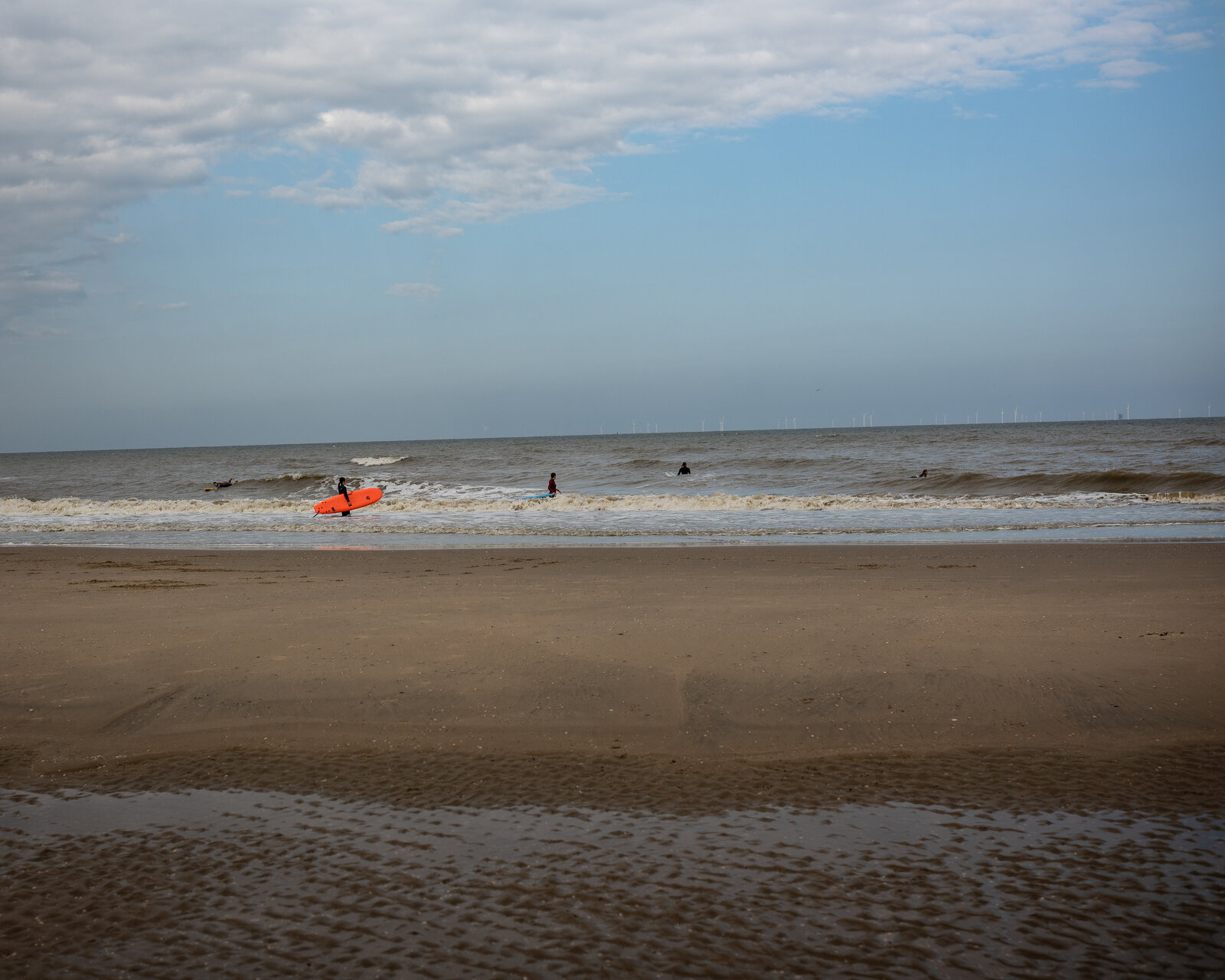 DSC09774.jpg