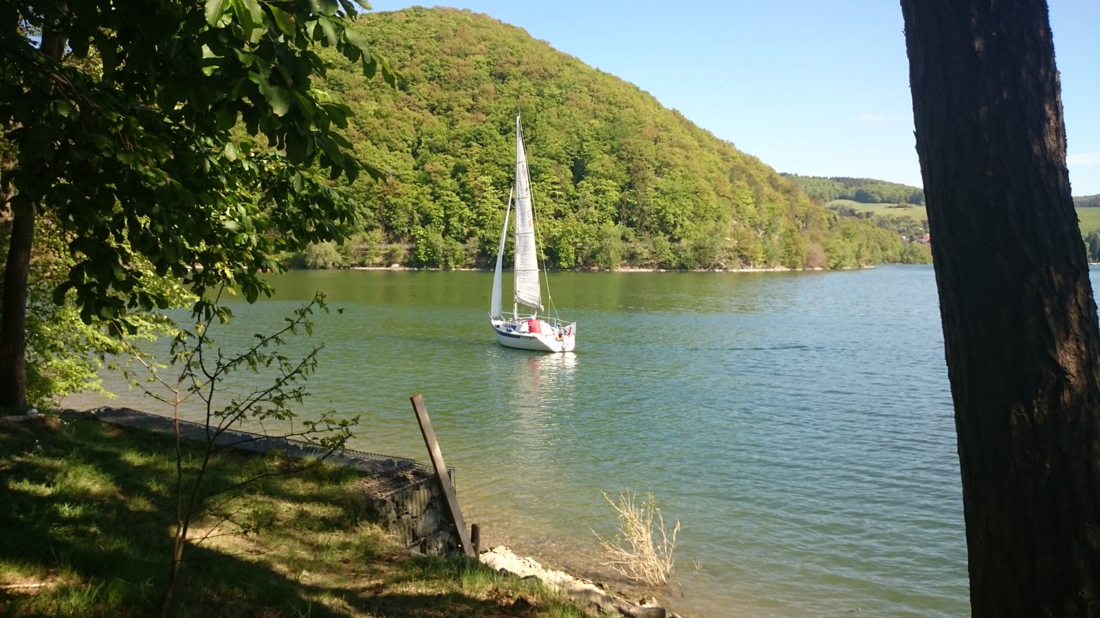 DSC_0229.JPG