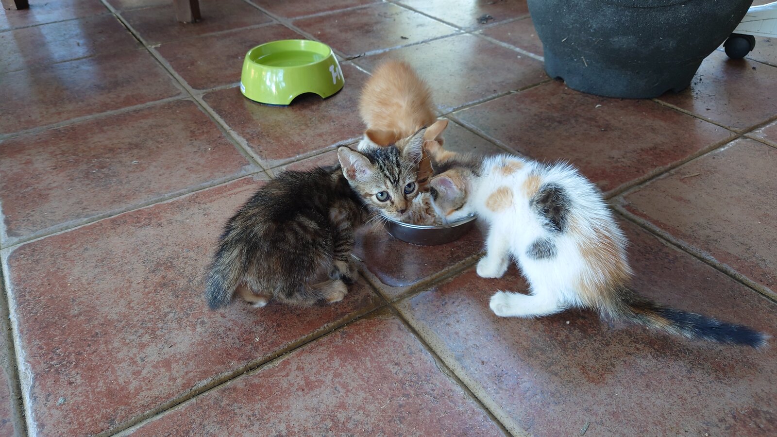DSC_0314.JPG