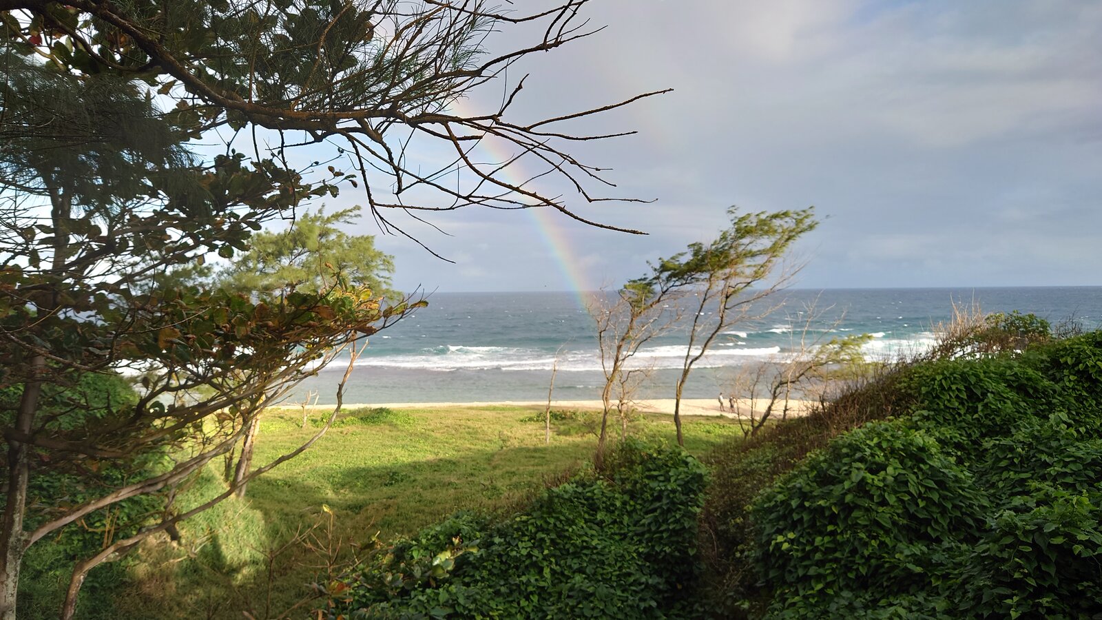 DSC_0415.JPG