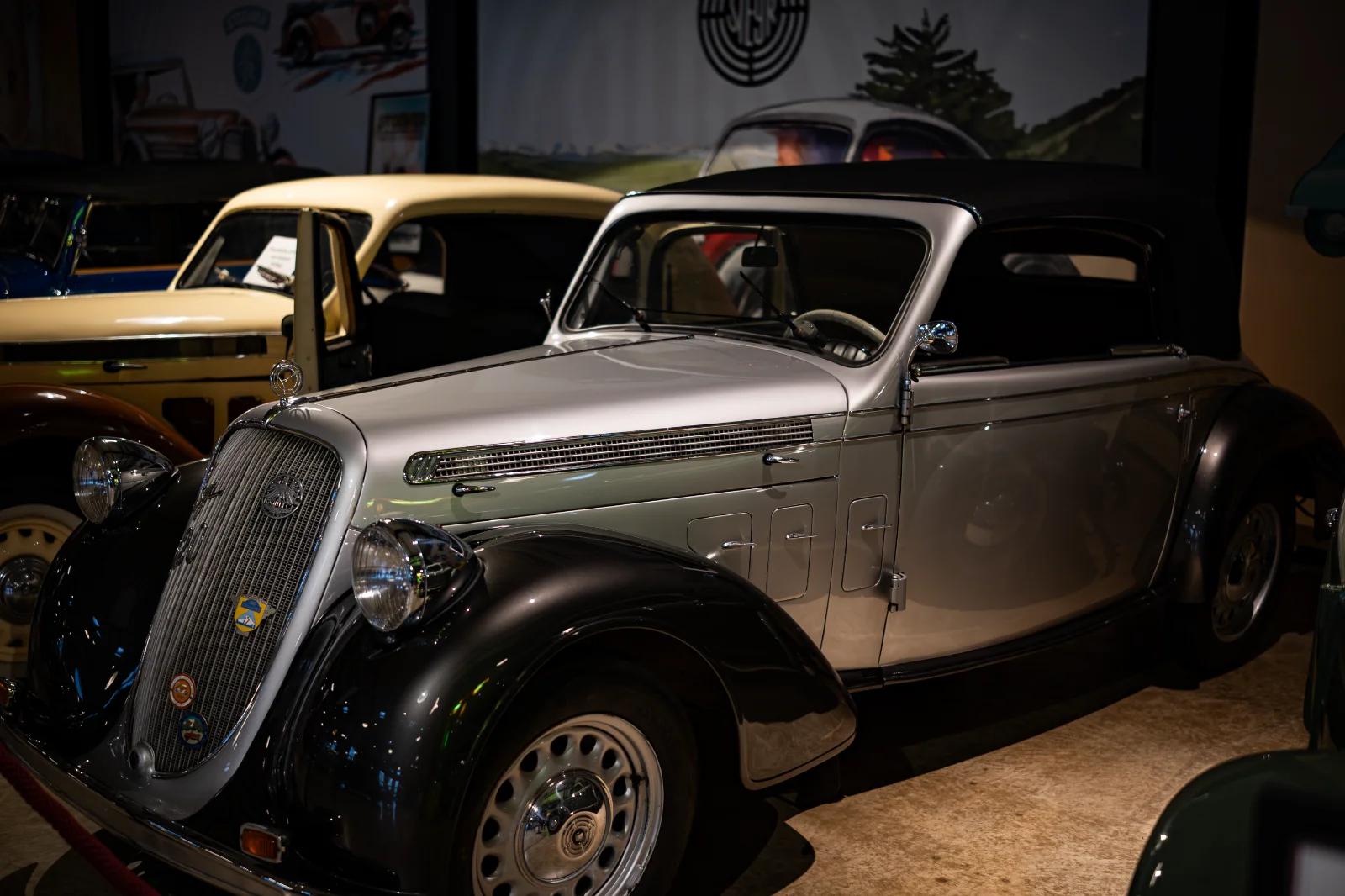 DSC_0918.webp