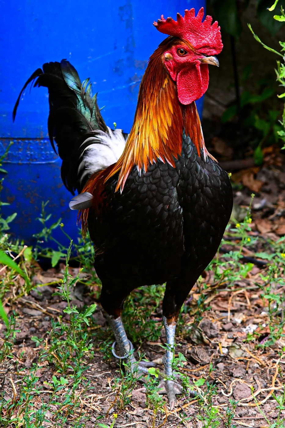 DSC_1638.webp