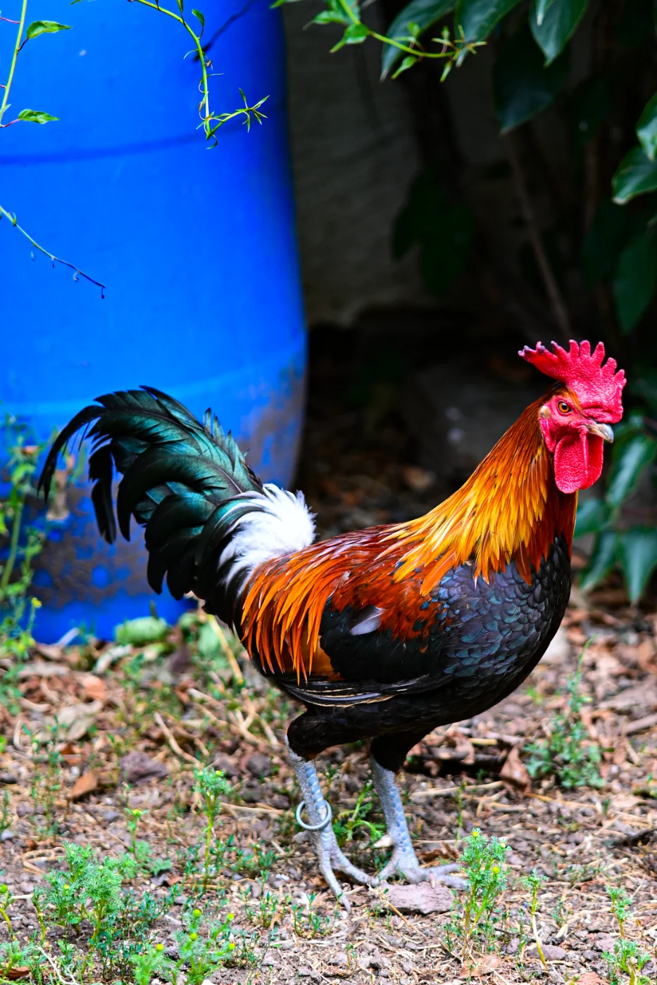 DSC_1642.webp