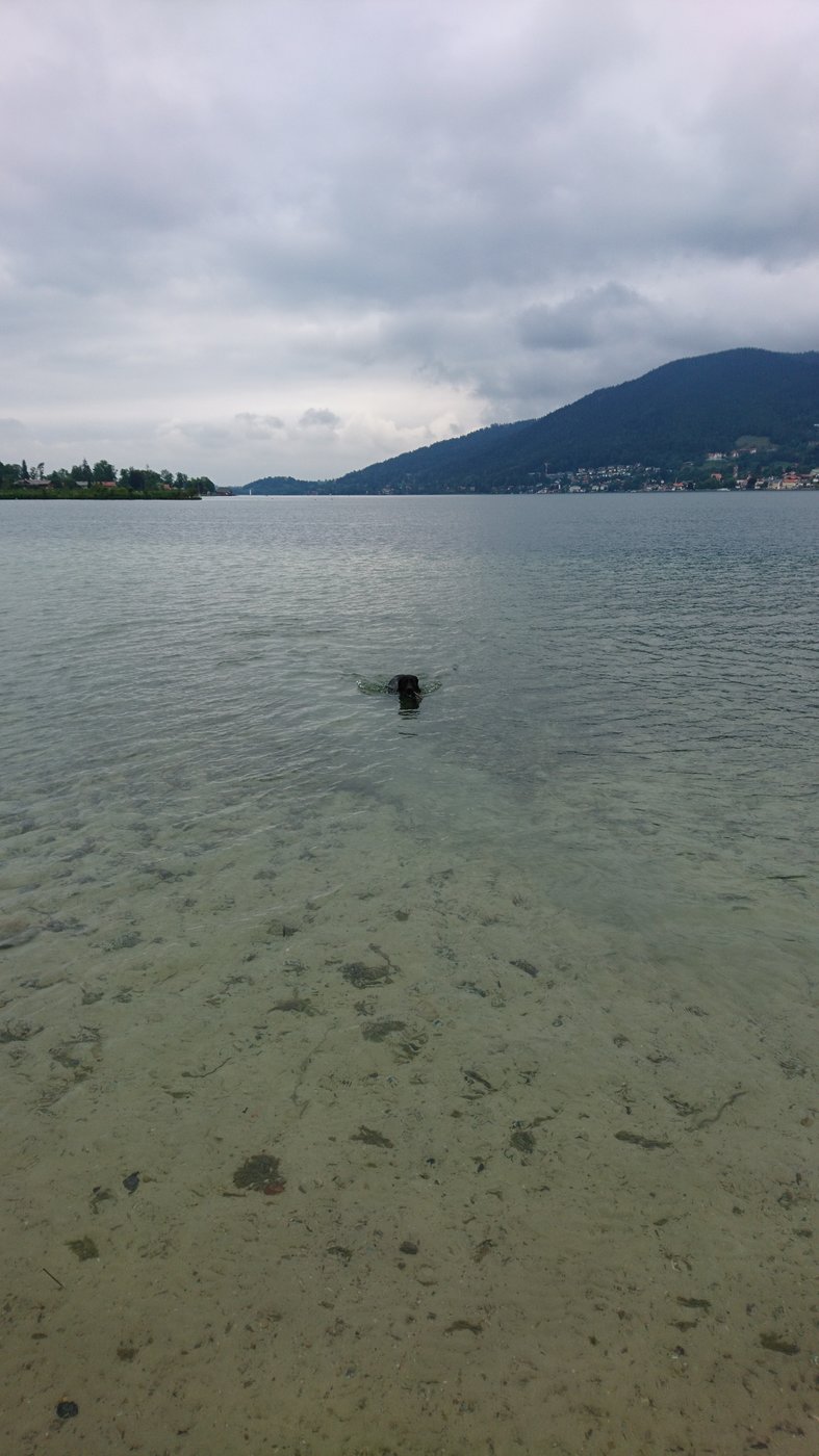 DSC_3598.JPG
