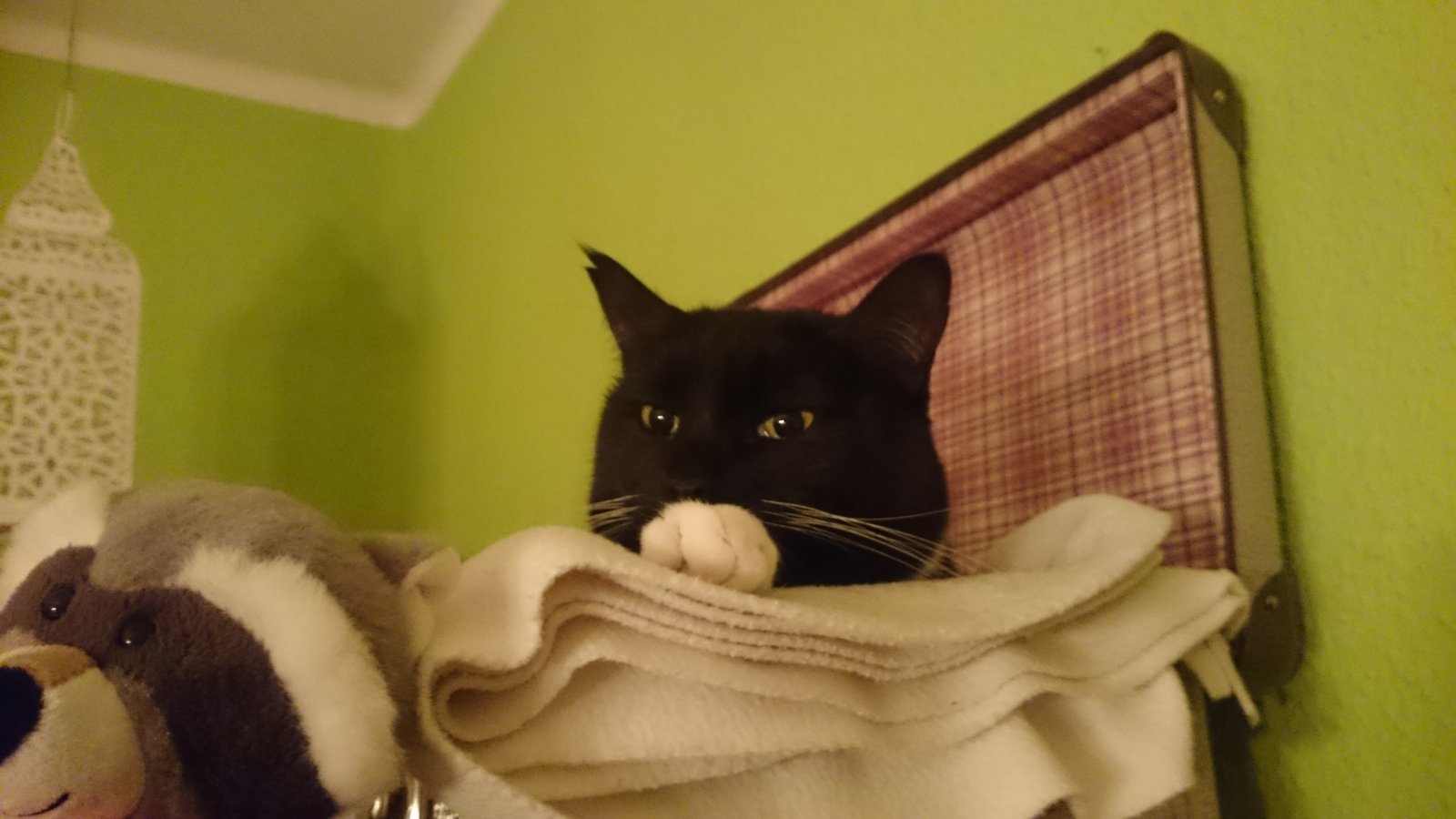 DSC_4113.JPG
