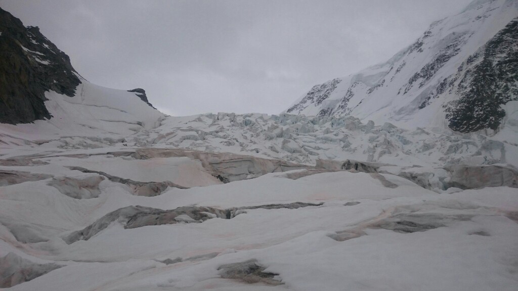 DSC_6095~01~01.jpg