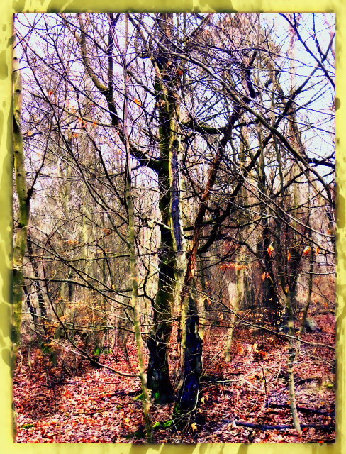 DSCN0180klein.jpg