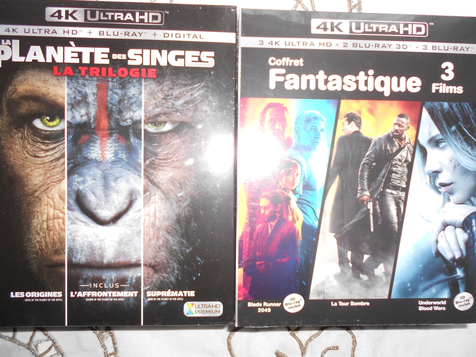 DSCN0319.JPG
