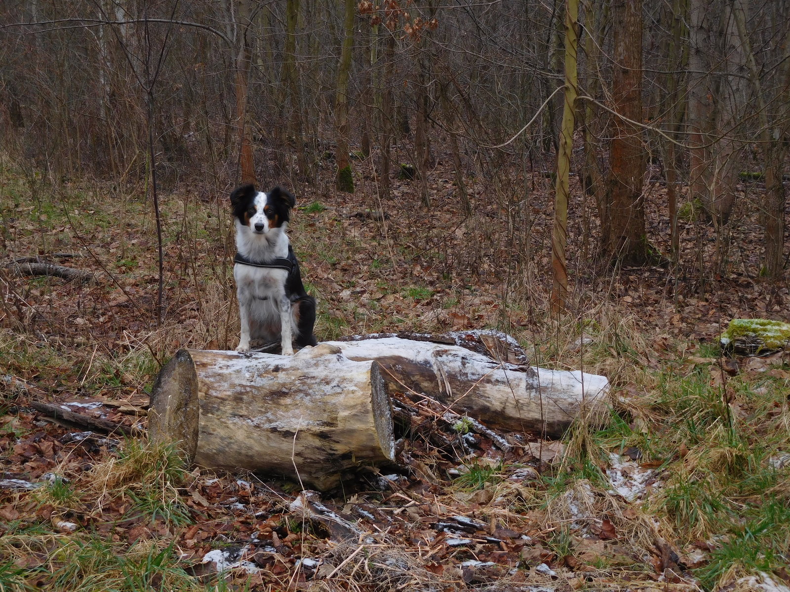 DSCN2198.JPG