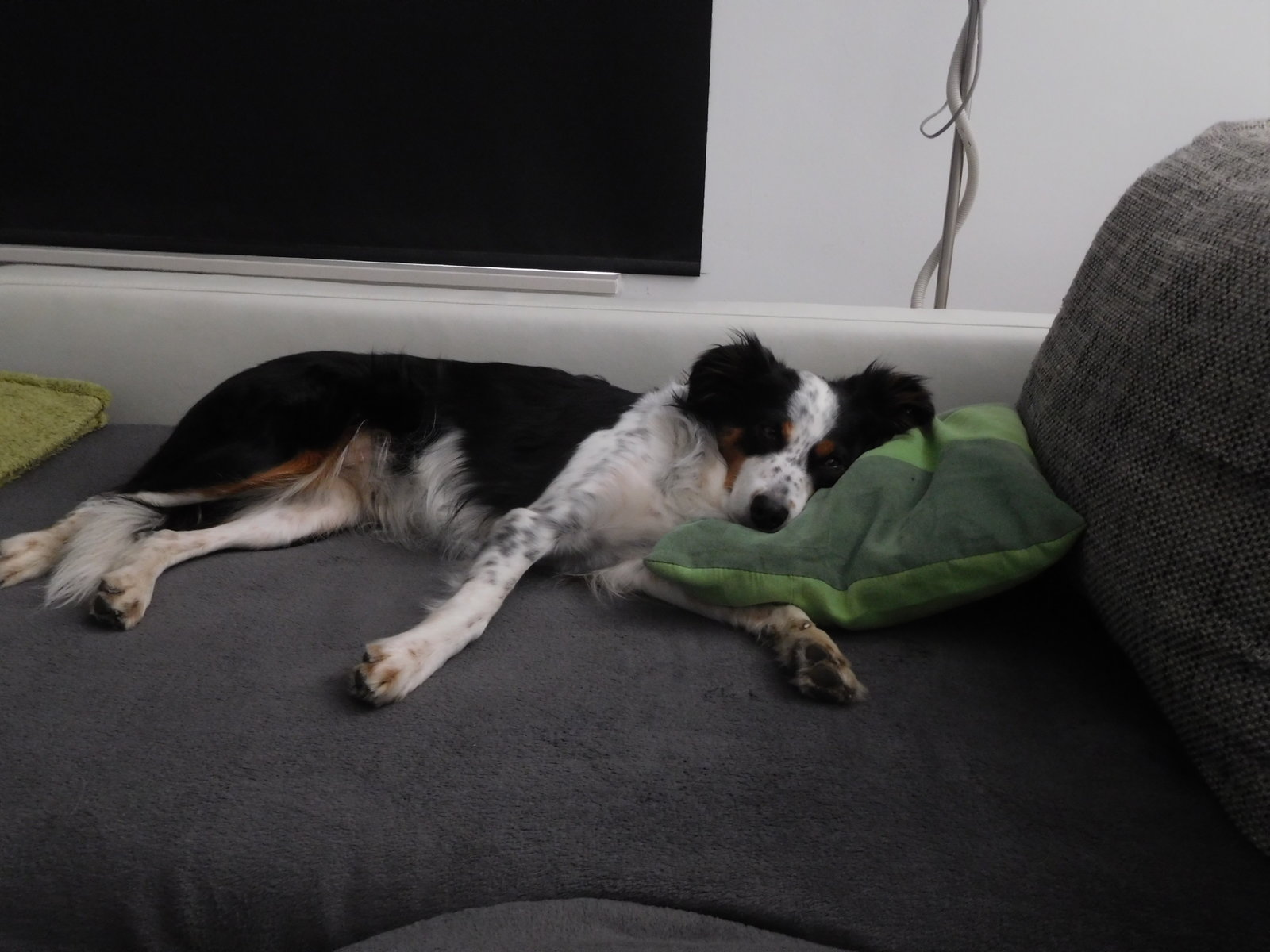 DSCN2206.JPG