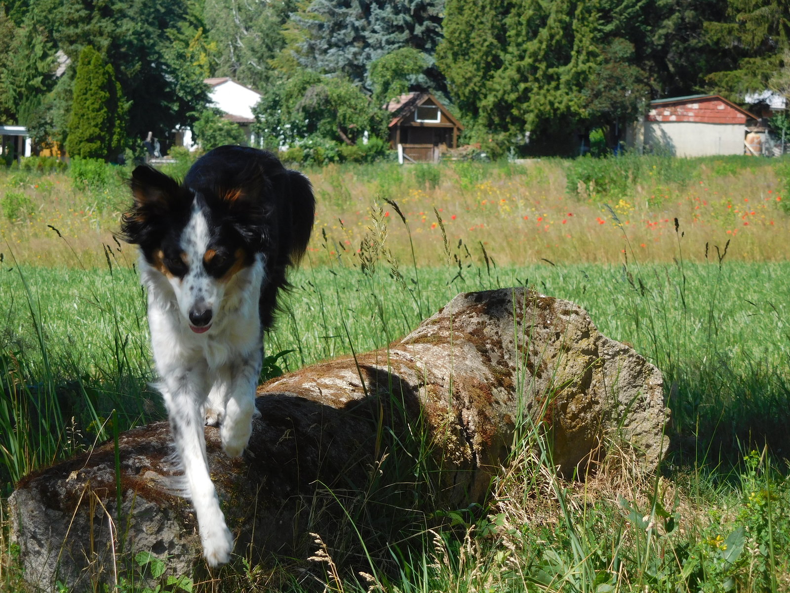 DSCN2826.JPG
