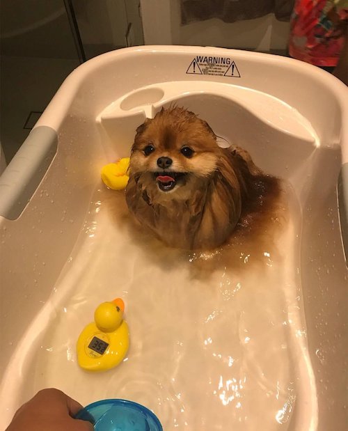 DTcTyrxWsAAnG7_.jpg