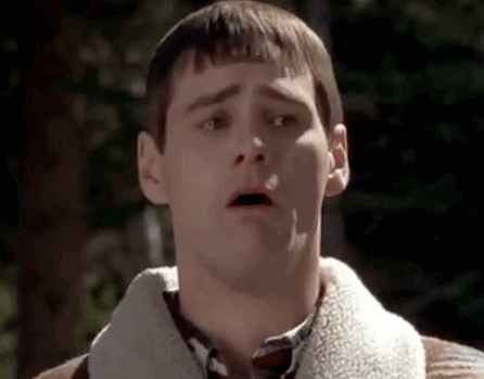 Dumb-and-dumber-gif.gif