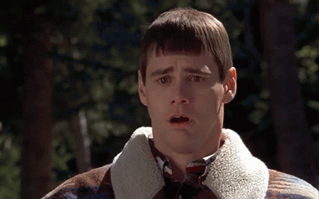 dumb-and-dumber-jim-carrey.gif