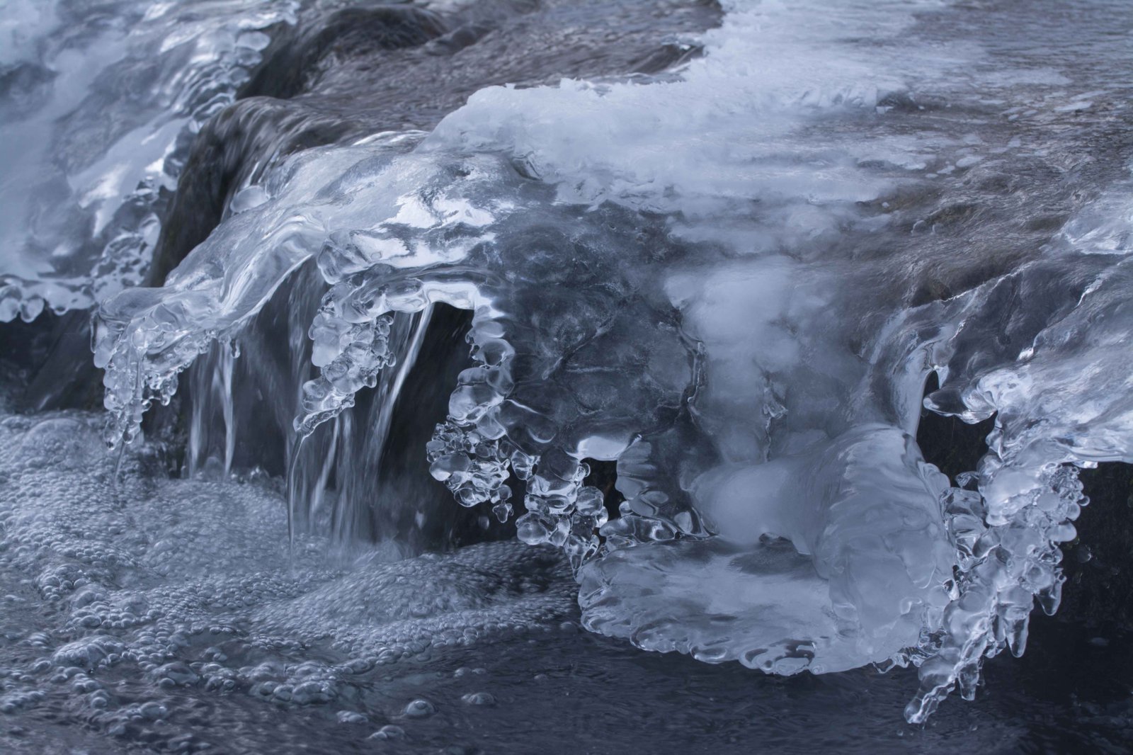 DX1_9199.jpg