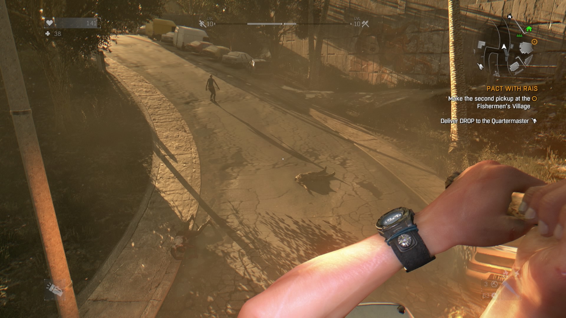 Dying Light_20150212032242.jpg