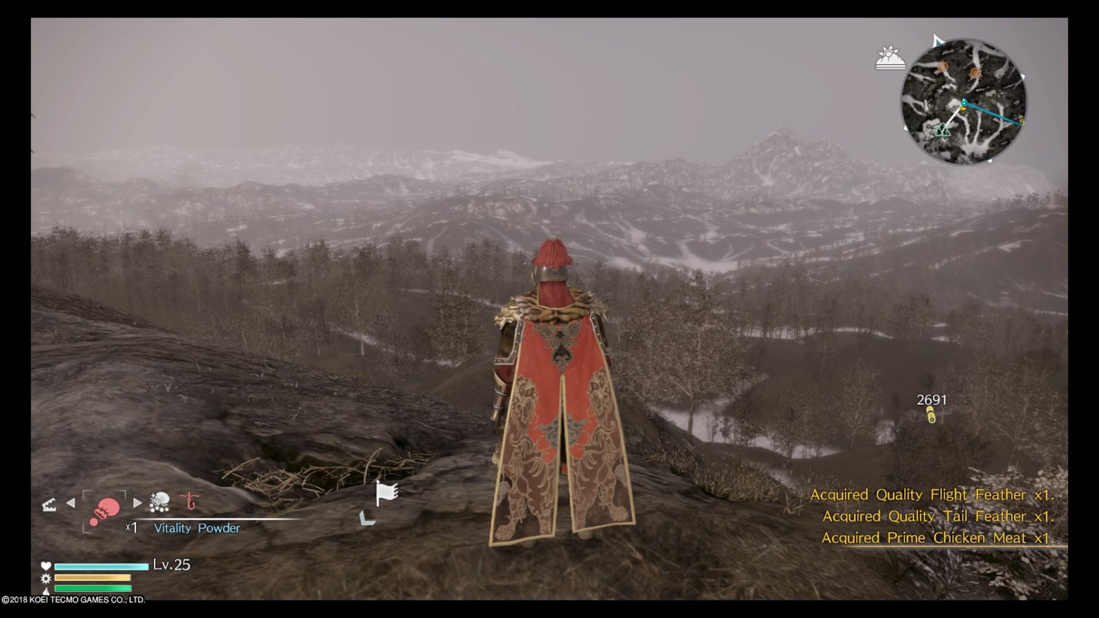 DYNASTY WARRIORS 9_20180213152311.jpg