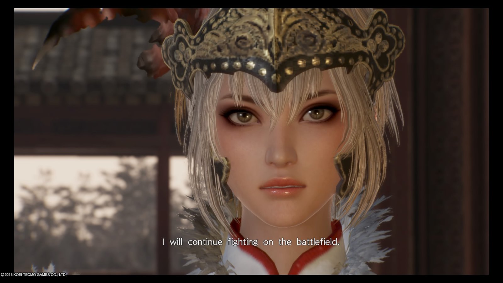 DYNASTY WARRIORS 9_20180219002401.jpg