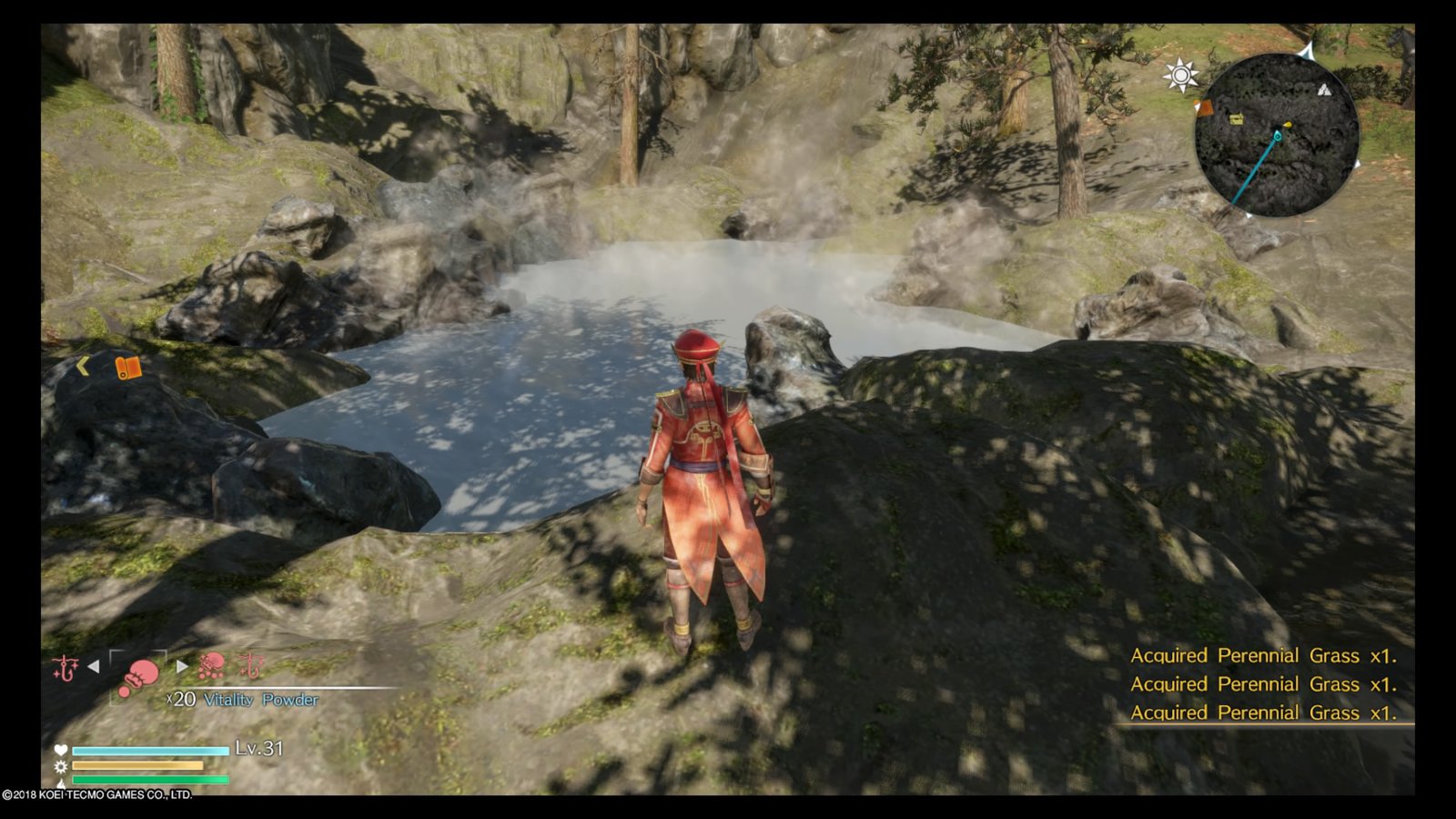 DYNASTY WARRIORS 9_20180222153635.jpg