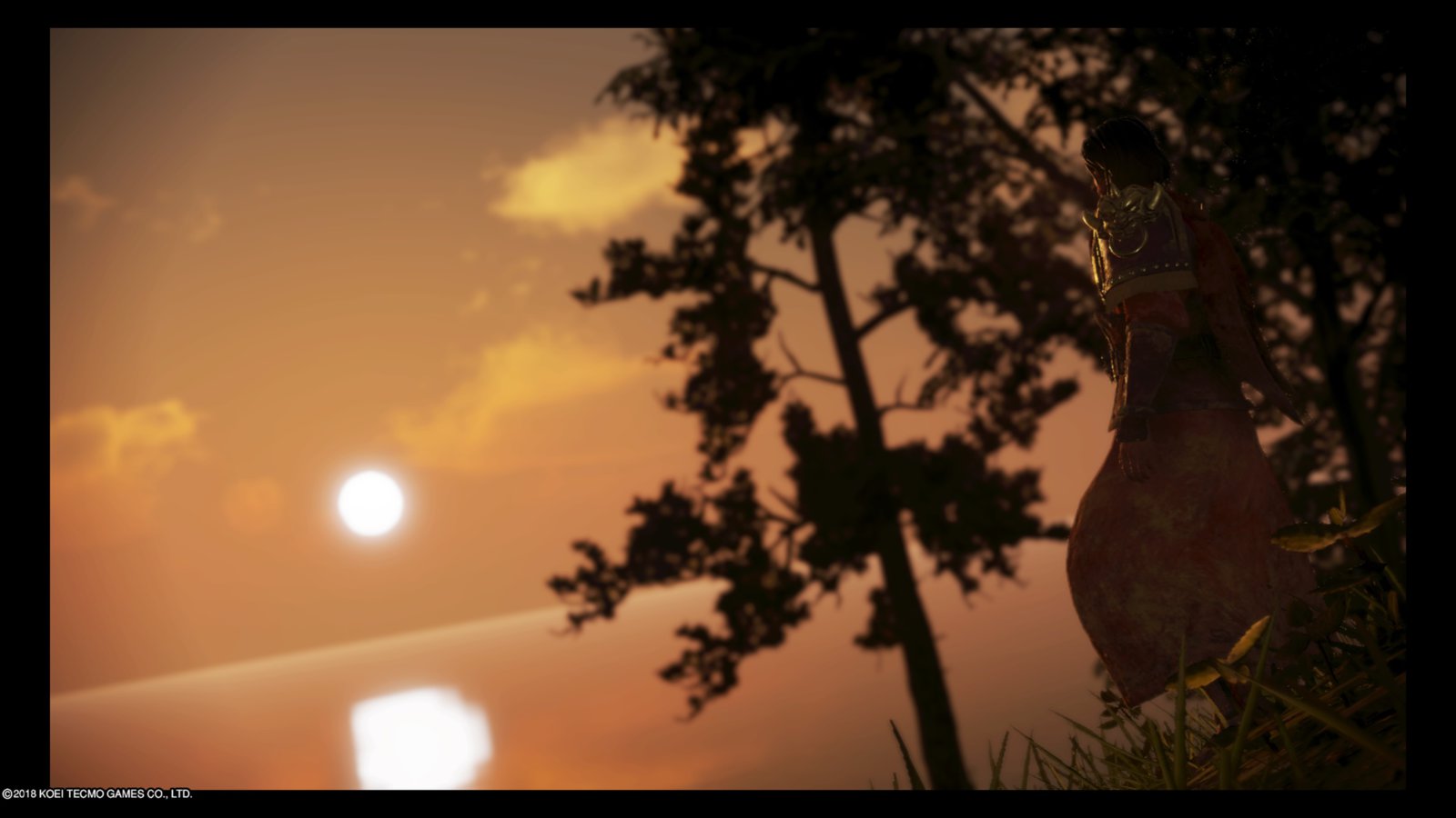DYNASTY WARRIORS 9_20180428191113.jpg