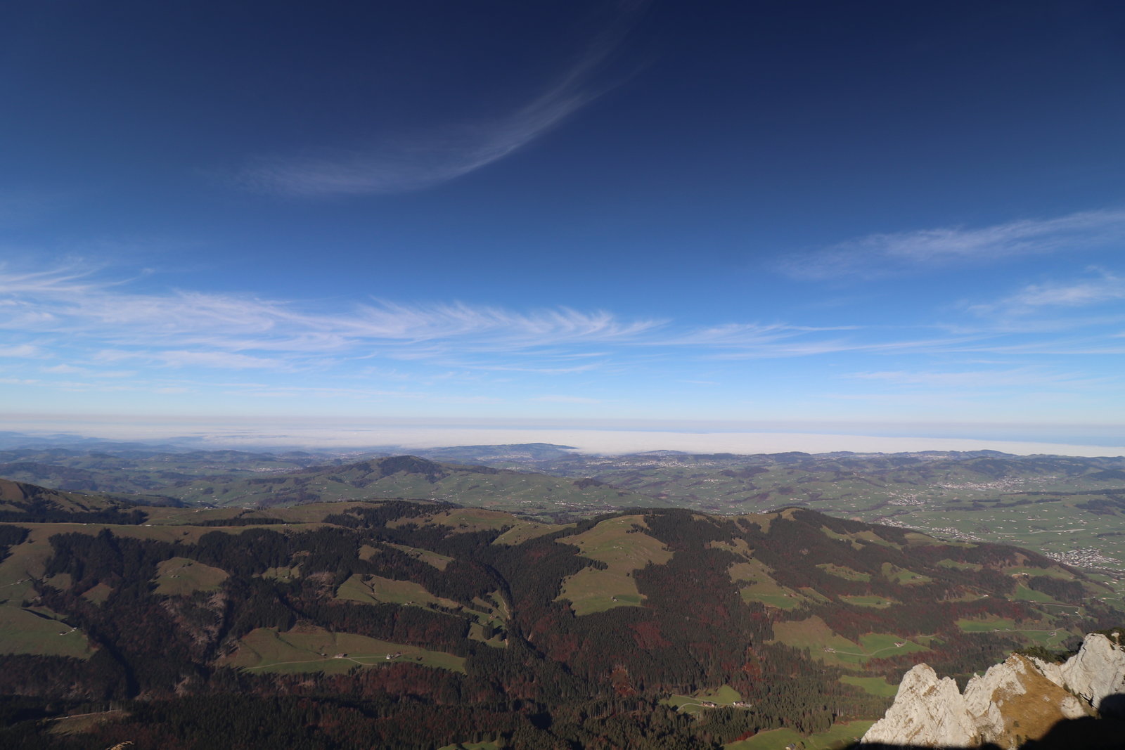 E0F41912-AB0A-40EE-97C5-20E6878F0D95.jpeg