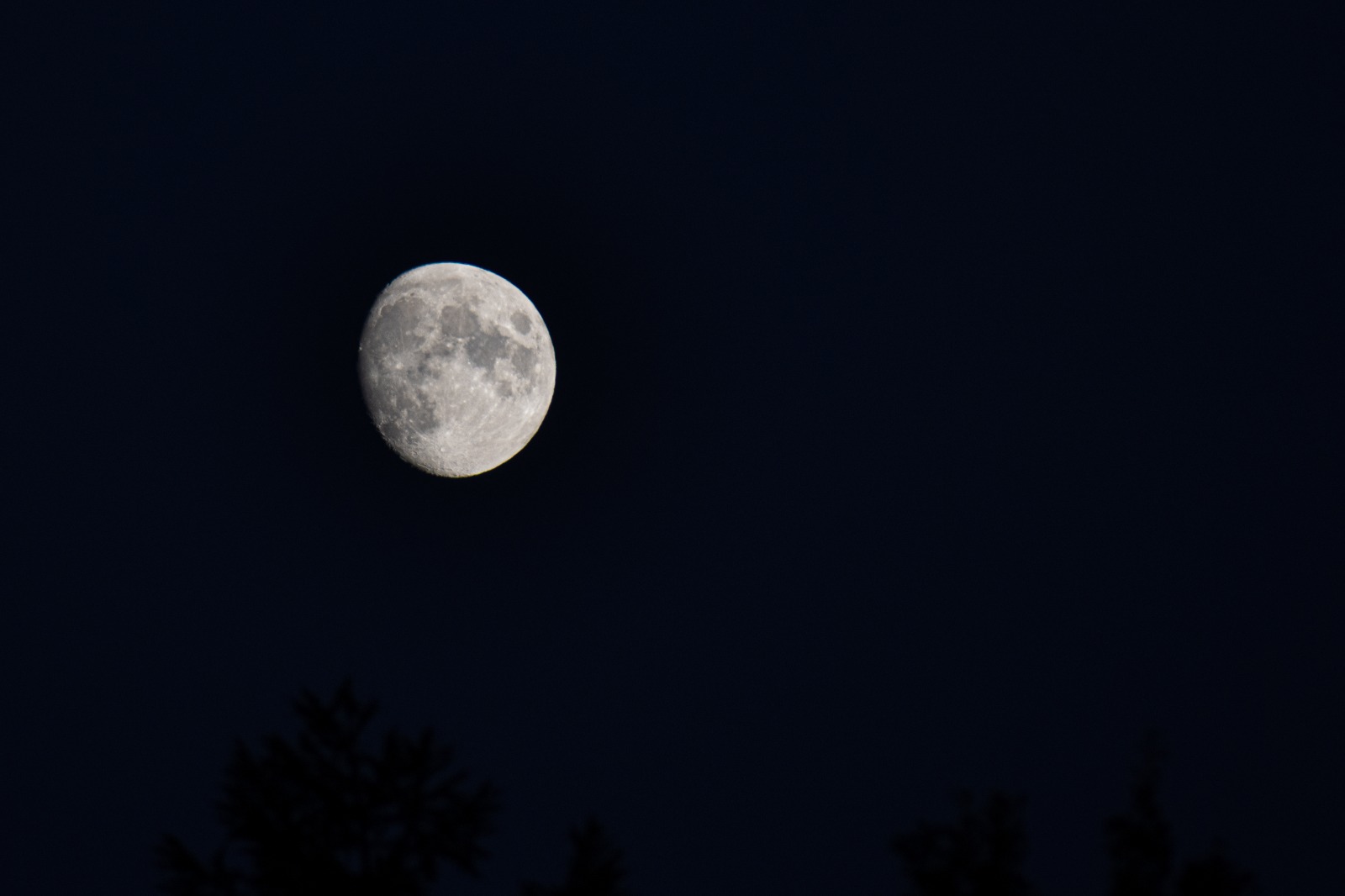 E624C321-71E3-49AC-9ECE-A7715F1808F9.jpeg