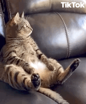 E78D7A96-81D3-49E5-A742-C1FAAB2671F9.gif