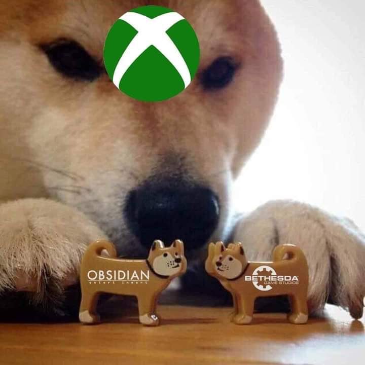 E_0JH9aVgAQ1doO.jpg