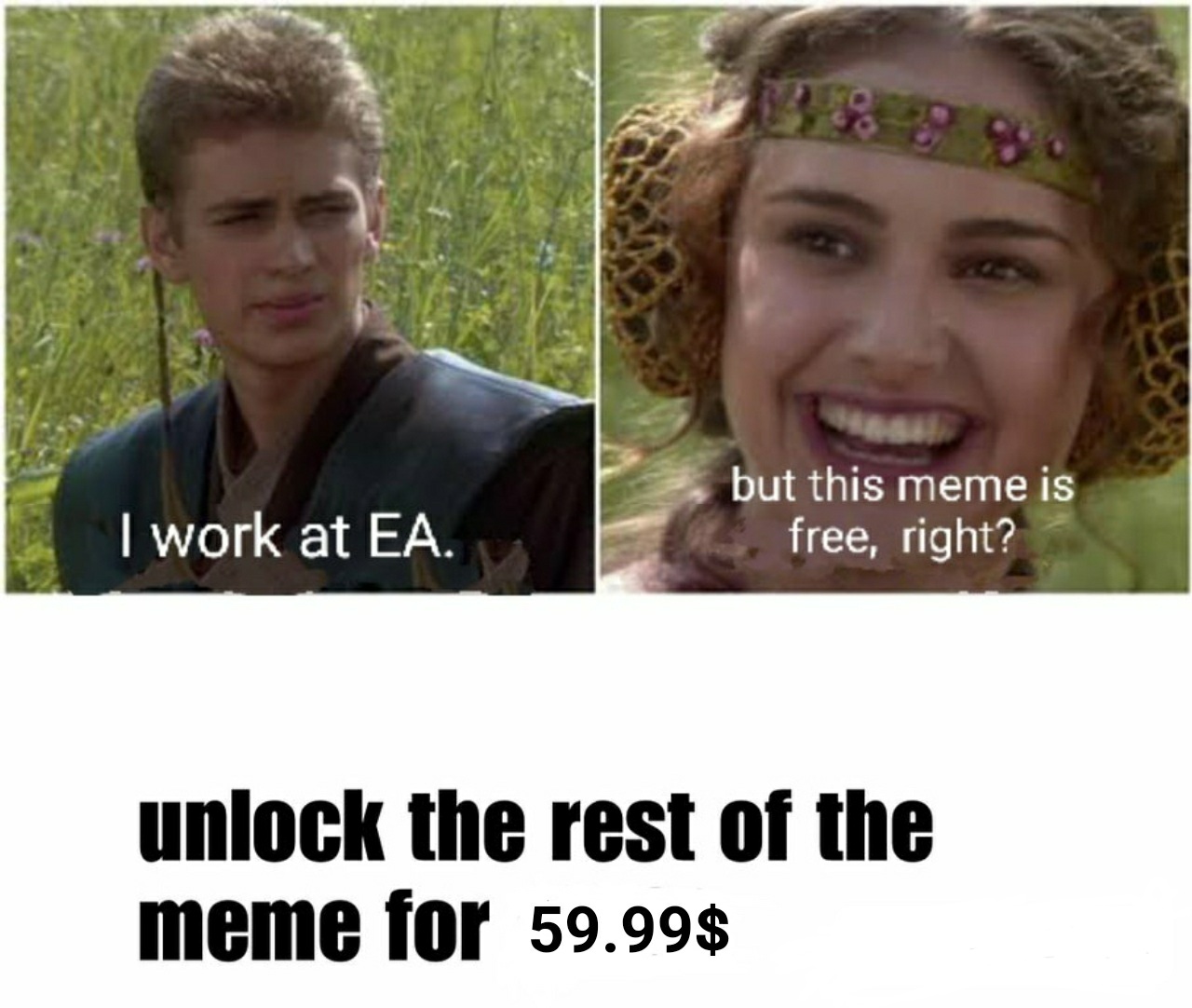 EA meme.jpg