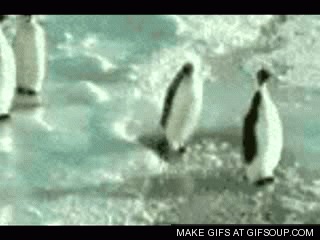 eda271ba149f227dfa01a341ab1595b3.gif