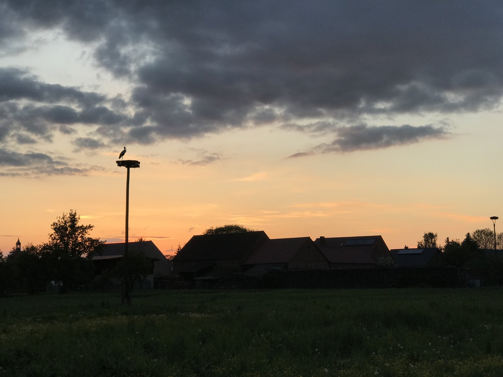 EFA609B1-E2EC-45D9-ABB2-364C0B759BDD.jpeg
