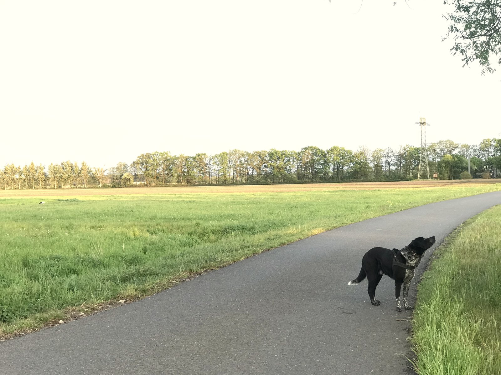 EFDE63D7-AC8D-45FC-B3DB-952384382A3A.jpeg