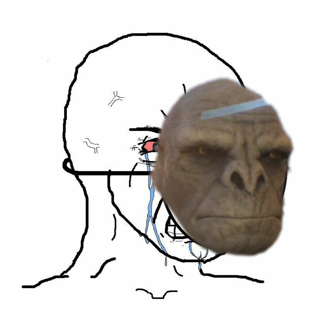 EhXQvgKWAAArhWJ.jpeg