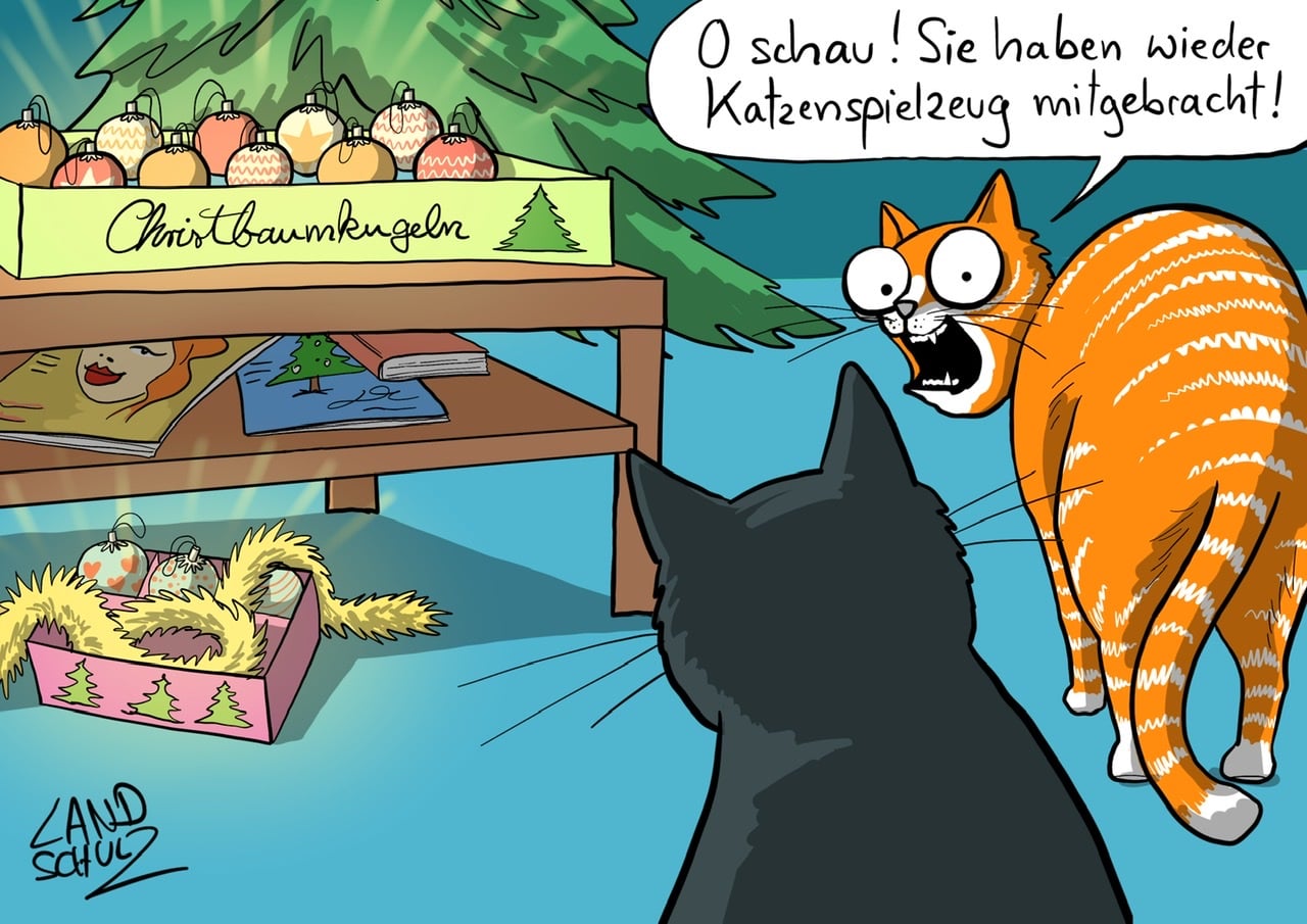 Ein Tag ein Tier - Christbaumkugeln.jpg