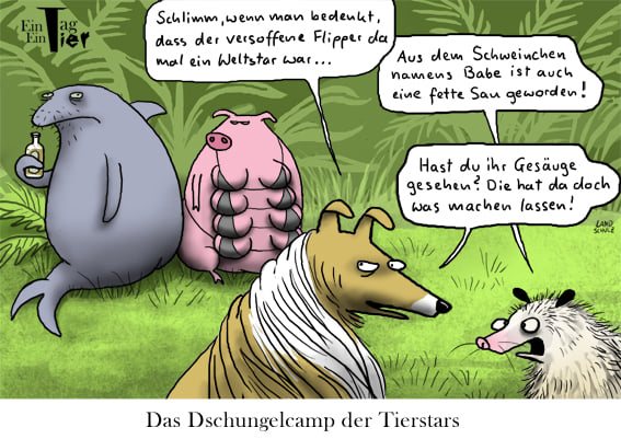 Ein Tag ein Tier - Dschungelcamp der Tiere.jpg