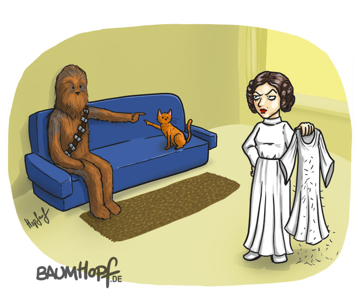 Einhornkotze - Star Wars Haare.jpg