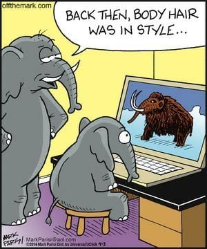 elephant bodyhair.jpg