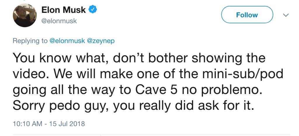 elon-musk-pedo-guy-tweet.jpg