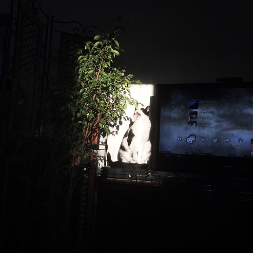 Enlight24.jpg