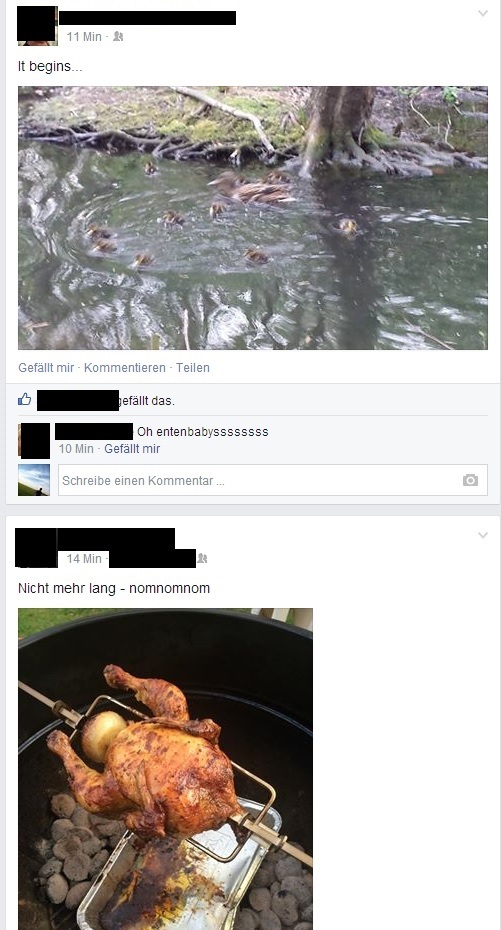 ente.jpg