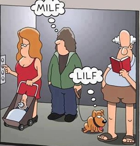 Ever heard of LILF_ _ Very Funny Pics.jpg